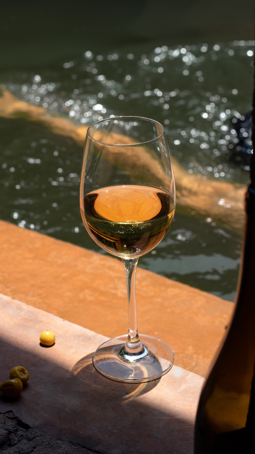 Collection Privée « PM » Petit Manseng Blanc